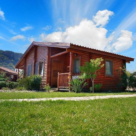 Gasthaus Hayitbuku Ahsapevleri Mesudiye  Zimmer foto