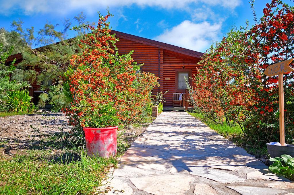 Gasthaus Hayitbuku Ahsapevleri Mesudiye  Exterior foto