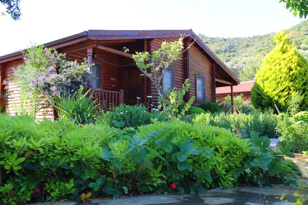 Gasthaus Hayitbuku Ahsapevleri Mesudiye  Exterior foto