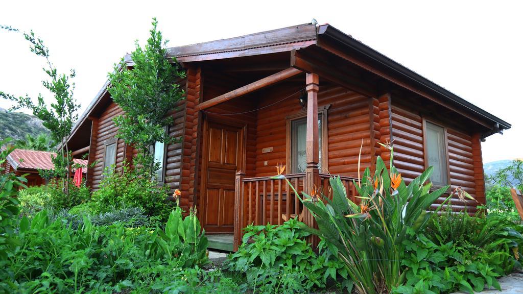 Gasthaus Hayitbuku Ahsapevleri Mesudiye  Exterior foto
